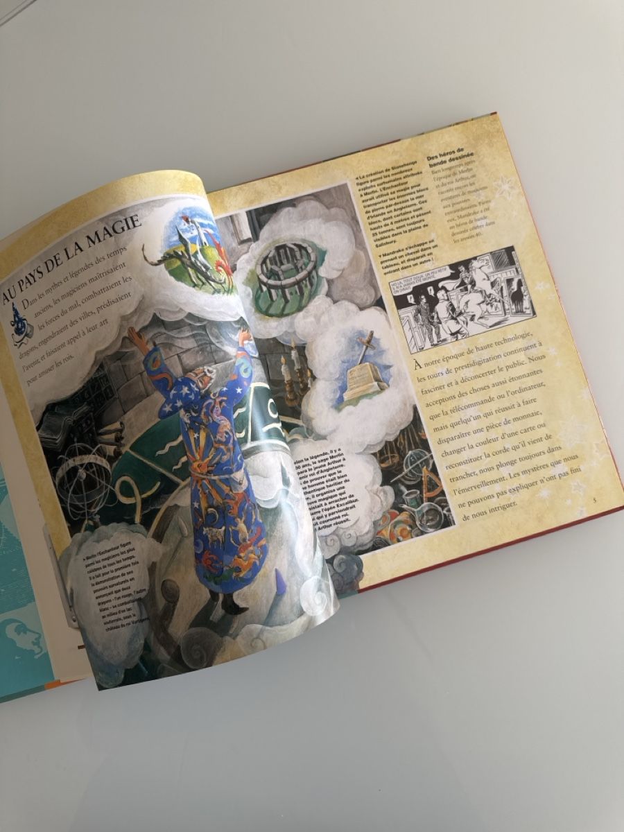 Libri: Magie et Magiciens - Peter Eldin édition Nathan 1997 – Usato da Neuchâtel venduto da Elipshop 5