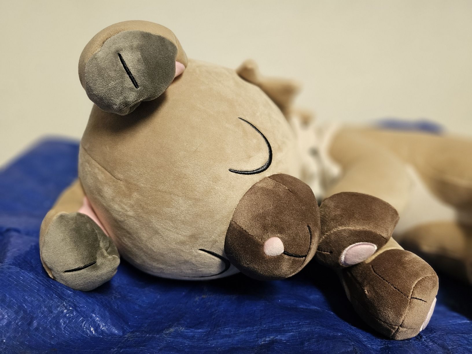 Pokémon Giocattoli: Pokemon Schlafendes Wuffels Plüsch – Nuovo (secondo la descrizione) da St. Gallen venduto da plh_n2wm 1