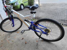 Mountainbike, Fahrrad