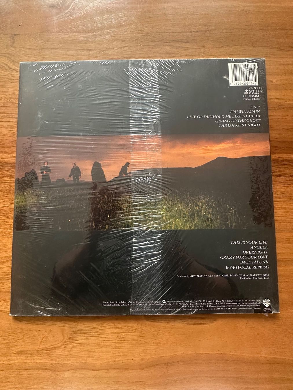 Dischi in vinile: 4 LP: Bee Gees und 1 LP Robin Gibb – Usato da Amriswil venduto da Valk1 8