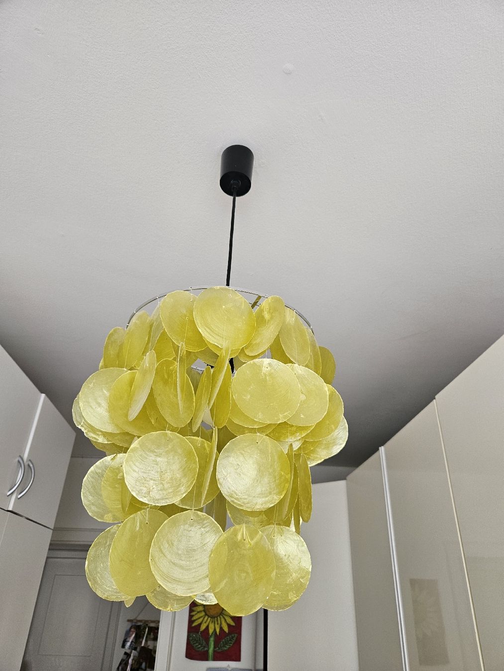 Lampes: Muschellampe – D'occasion à Basel par Vaceslav08 2