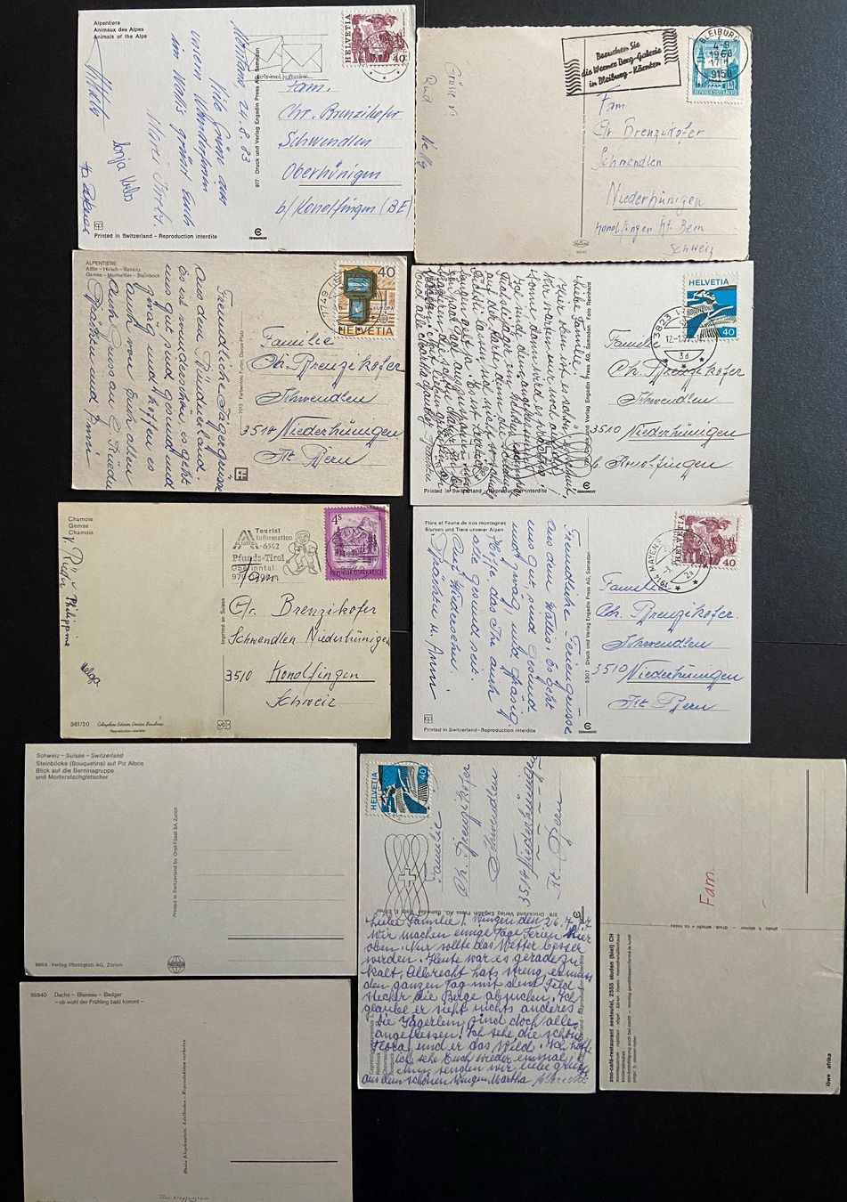 Cartoline postali: Set von10 AK mit Tieren – Usato da Böckten venduto da Hansi36 1
