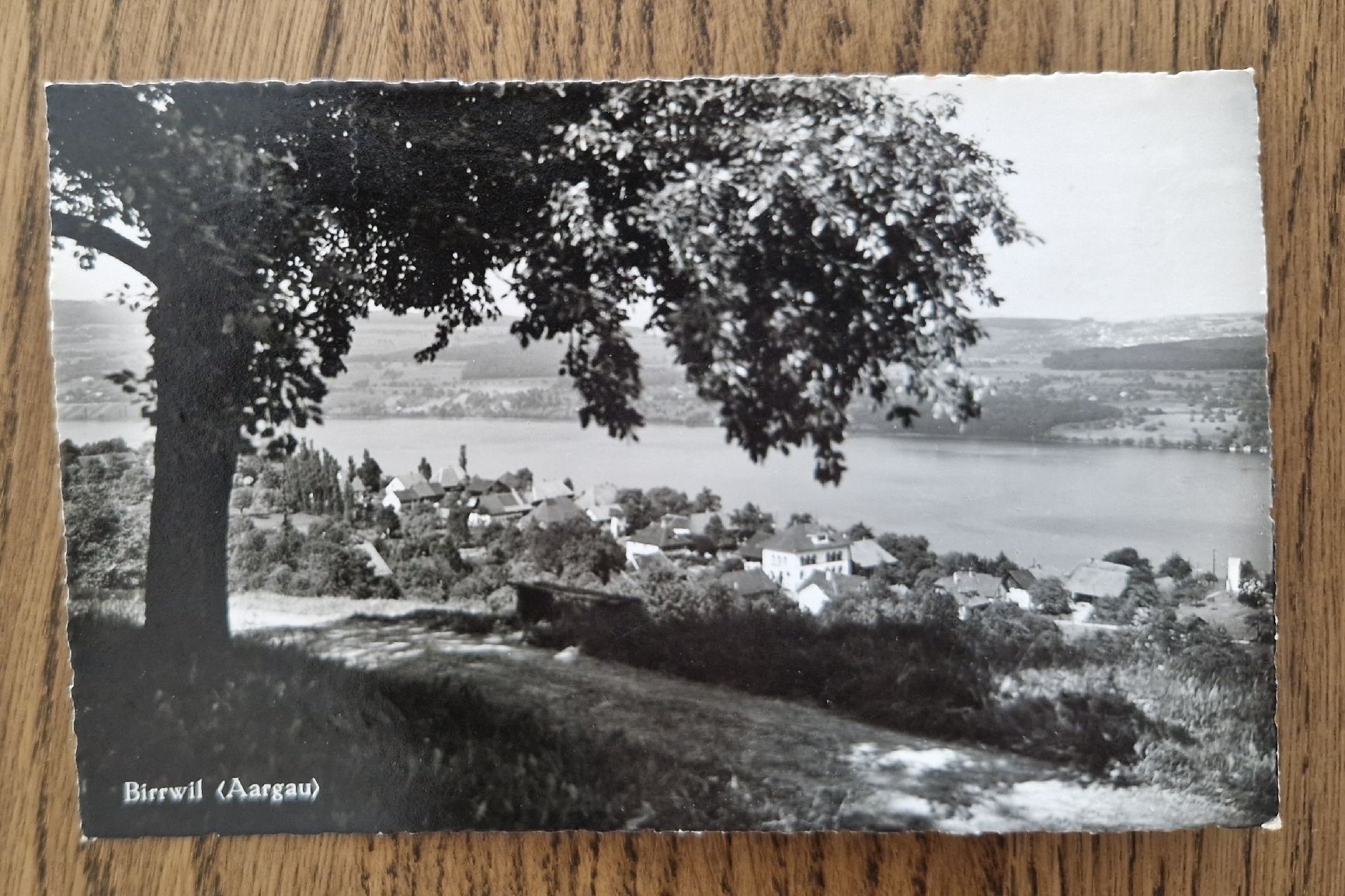 Cartoline postali: Birrwil 1957 – Nuovo (secondo la descrizione) da Ebikon venduto da Donar50