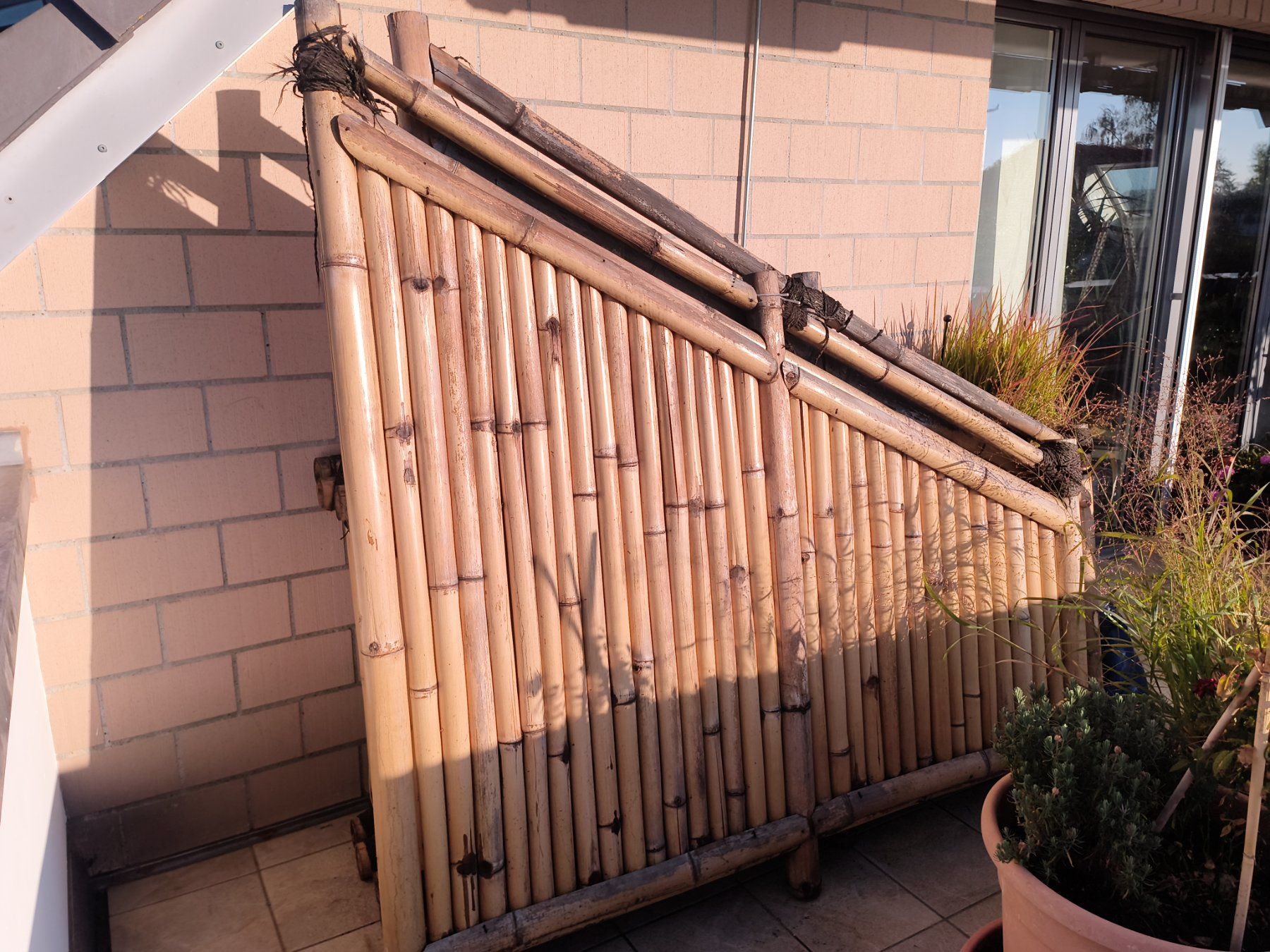 Fendivista: Bambus Zaun /Sichtschutz – Usato da Niederglatt ZH venduto da wit_rs5w 4