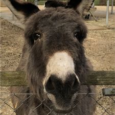 Profile image of Sprengs7off