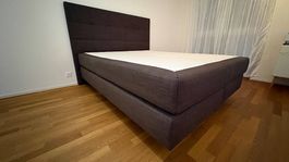 Femira Boxspringbett 160x200 braun 