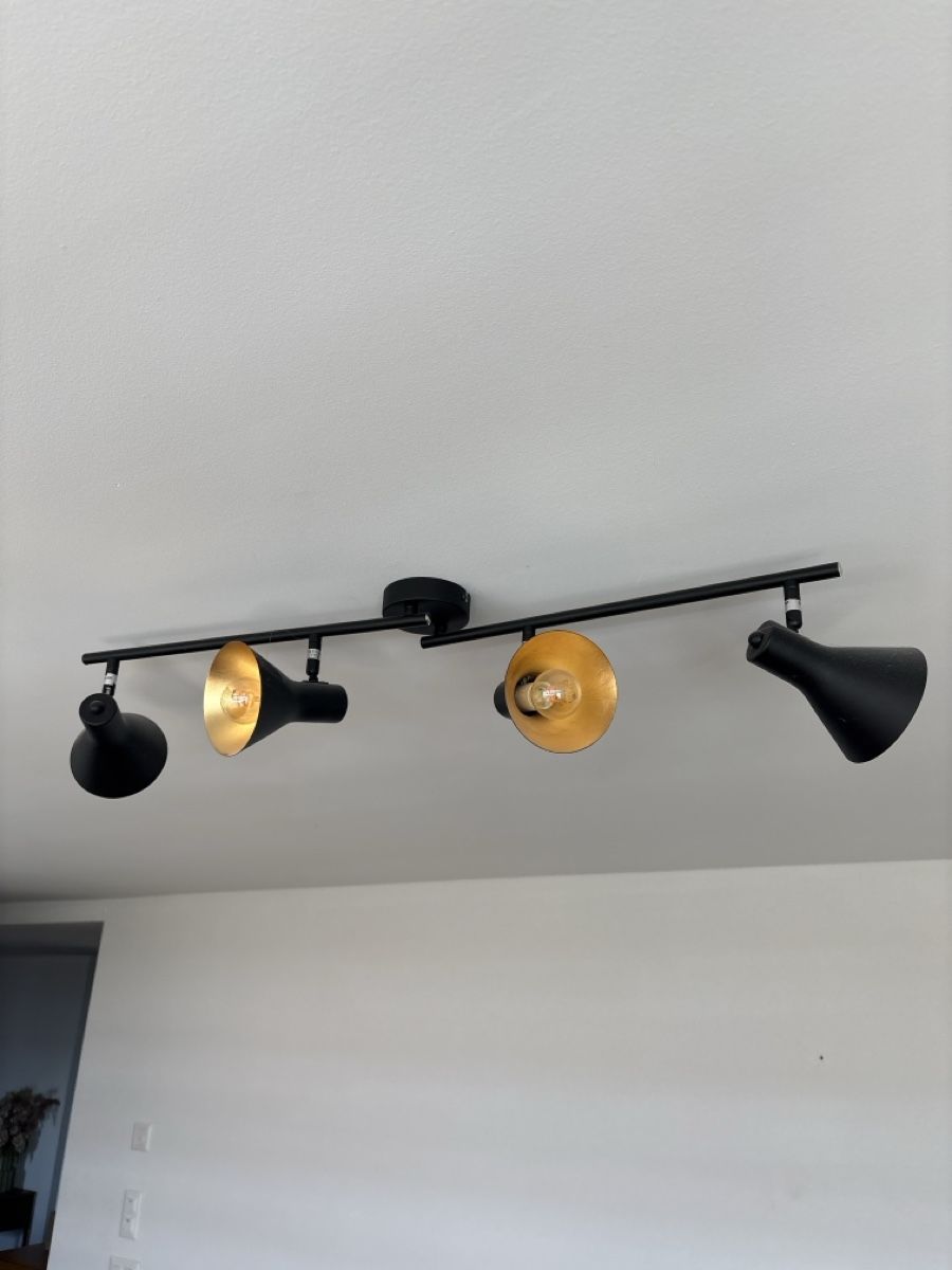Lampadari & plafoniere: Deckenleuchte 4-flammig schwarz/gold – Usato da Oberengstringen venduto da tal_t5f9
