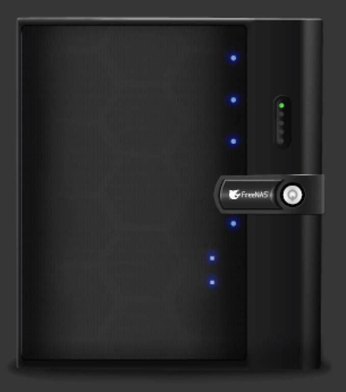 Server: TrueNAS Mini X+ iXsystems NAS - 52TB raw Storage – Usato da Waldenburg venduto da Cynayric