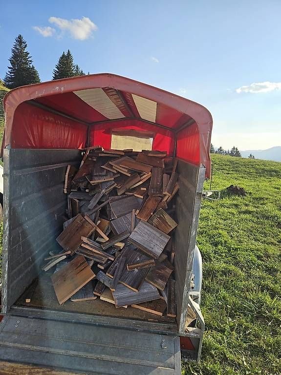 Holzartikel: Brennholz – Gebraucht aus Appenzell Eggerst. von Tom860
