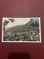 Torricella 1954