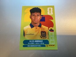 Panini Sticker Nilson Angulo FIFA World Cup 2026 ECU 17