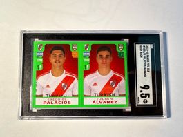 Julian Alvarez Rookie Sticker Panini Fifa 365 2019 SGC 9.5