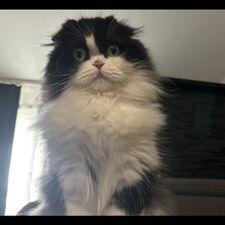 Profile image of Amy_z