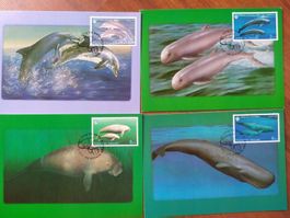Thailand - Ocean Maximum Cards 1998