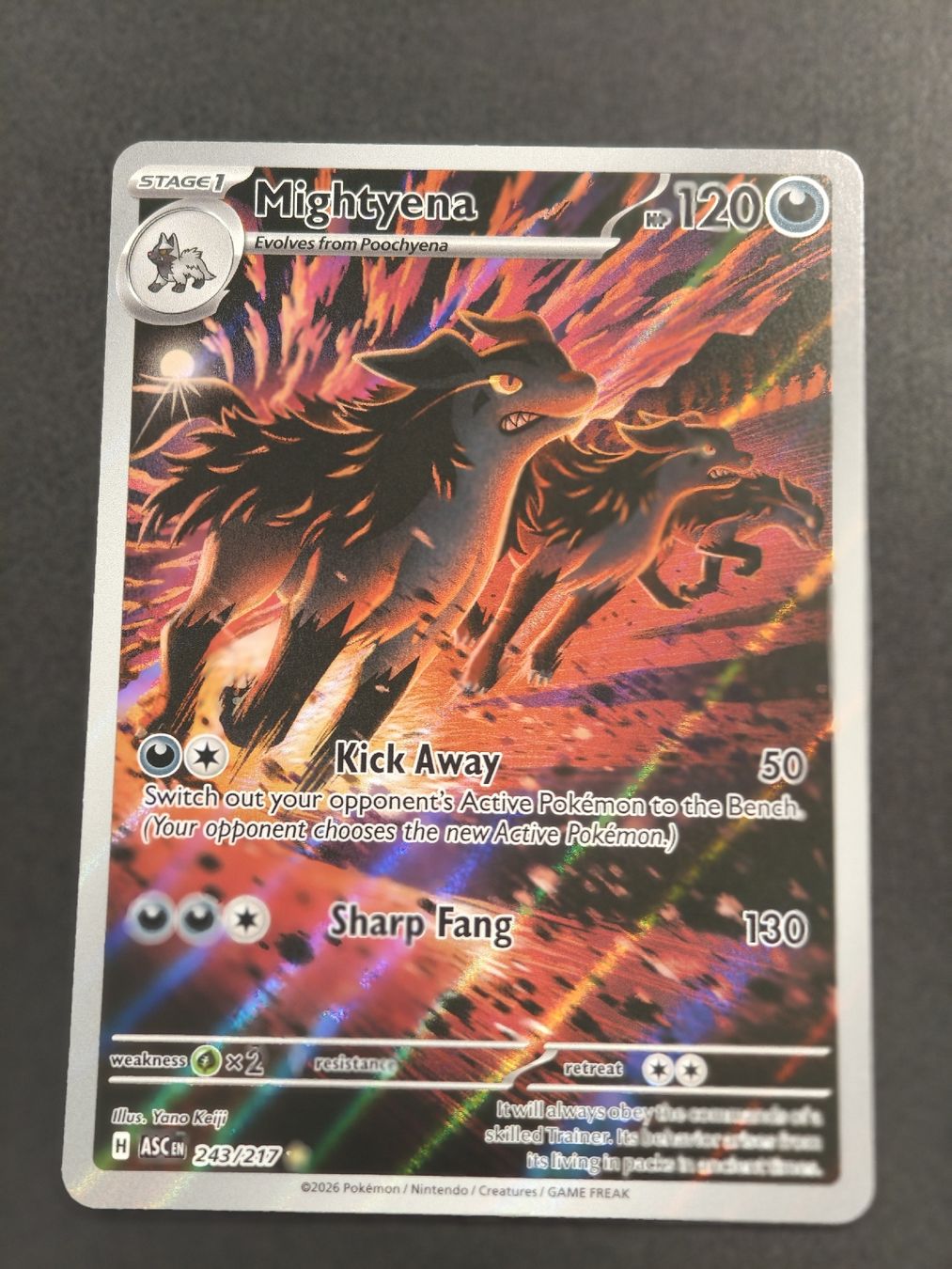 Pokémon Carte collezionabili: Mightyena - ASC 243/217 – Nuovo (secondo la descrizione) da Therwil venduto da Cordachu_Trade