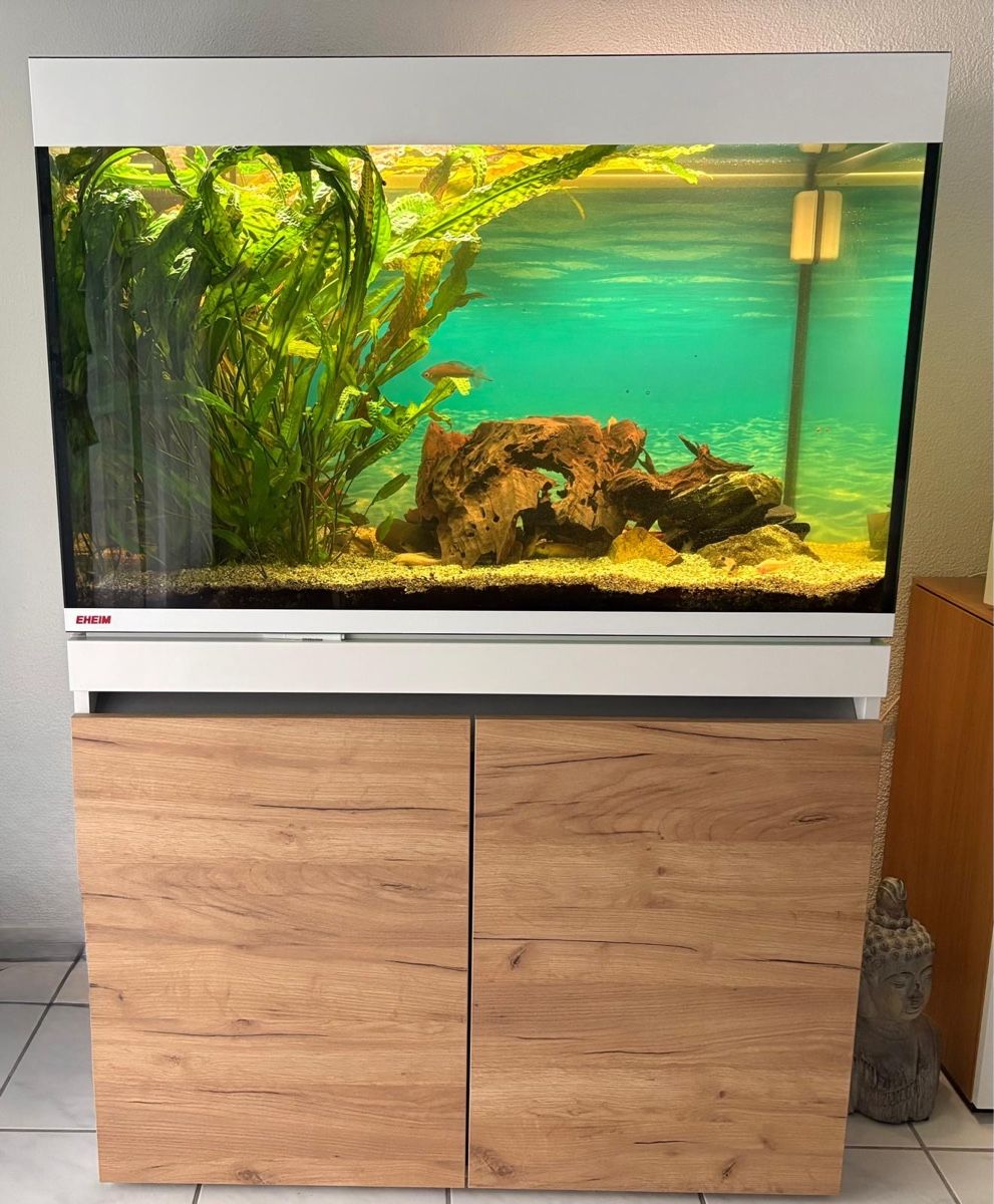 Acquari: Eheim Incpiria 330 Aquarium – Usato da Dagmersellen venduto da Dej7