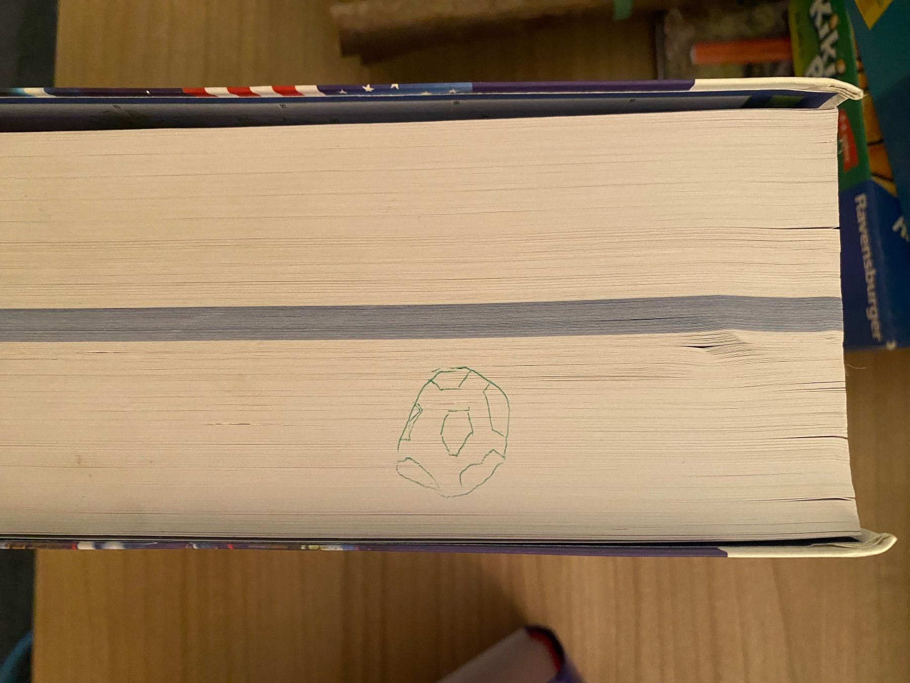 Libri: Larousse Dictionnaire Anglais-Français – Usato da La Tour-de-Peilz venduto da leu_hnf6 2