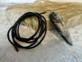 Anhänger - Orthoceras  , Lederkordel
