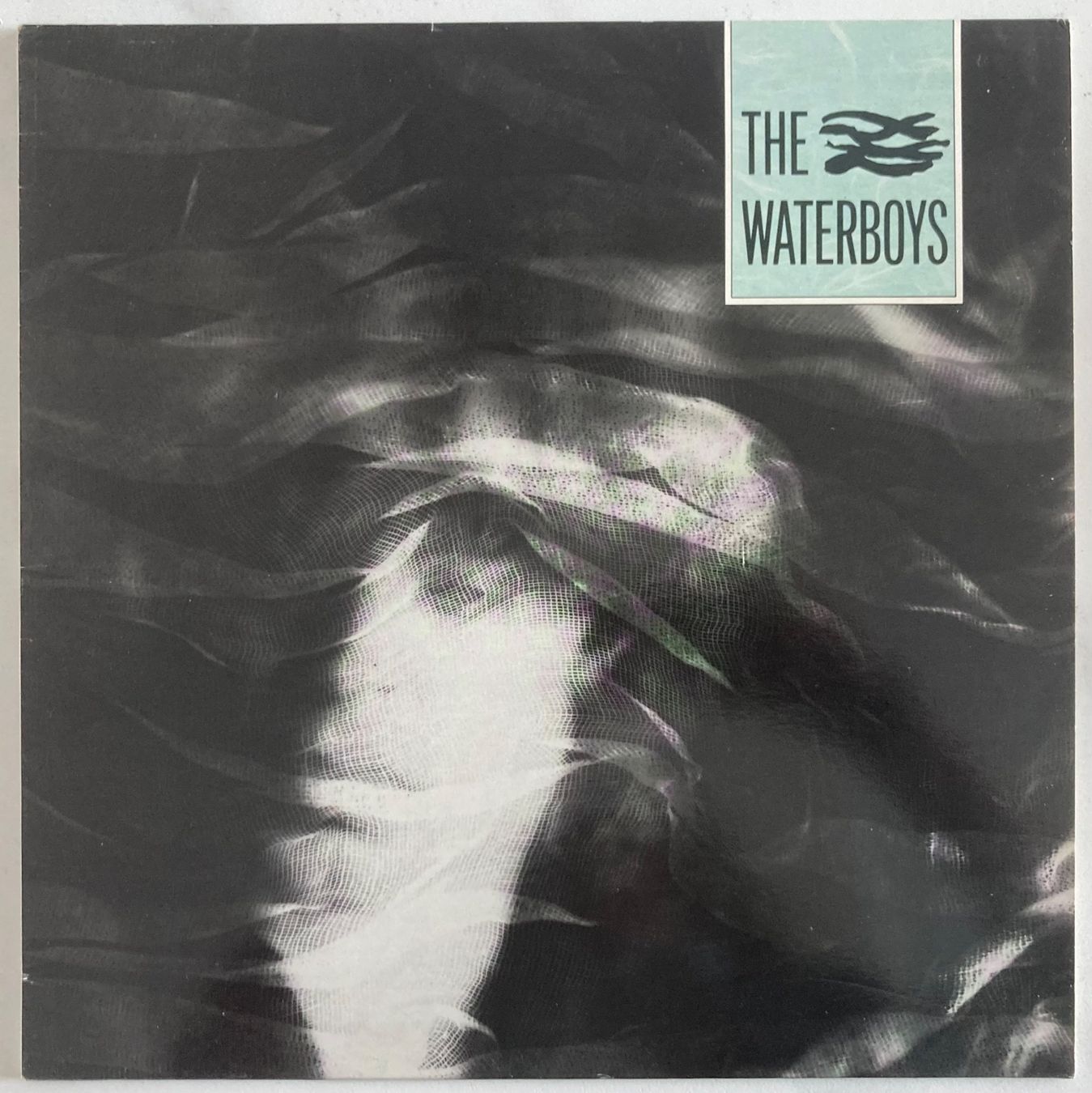 Dischi in vinile: THE WATERBOYS - THE WATERBOYS – Usato da Poliez-Pittet venduto da Newtown-Records