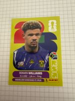Panini Sticker WM 2026, RSA 2 Ronwen Williams