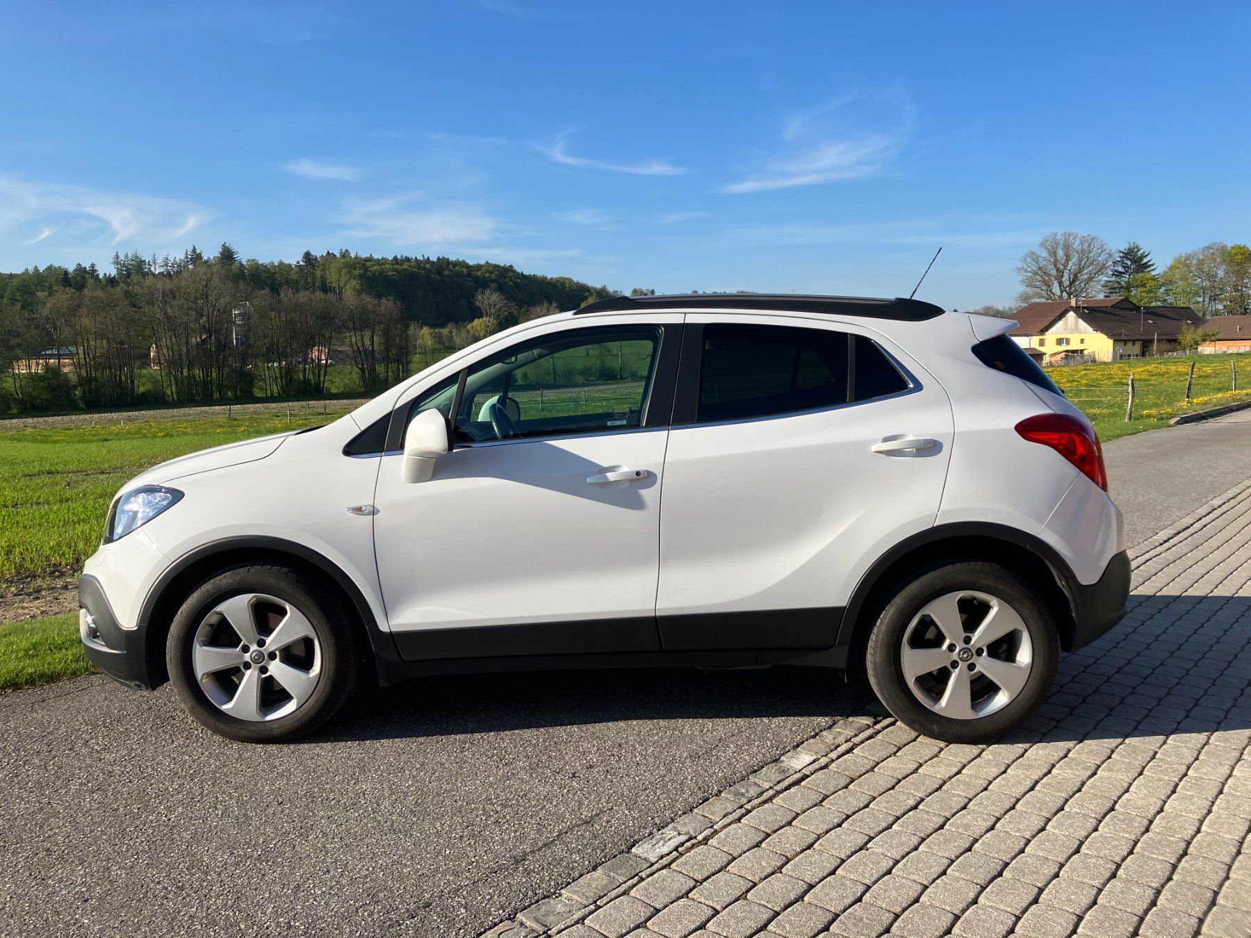 Automobili: OPEL Mokka 1.4i T Cosmo 4WD – Usato da Gryon venduto da mel_pzw6 3