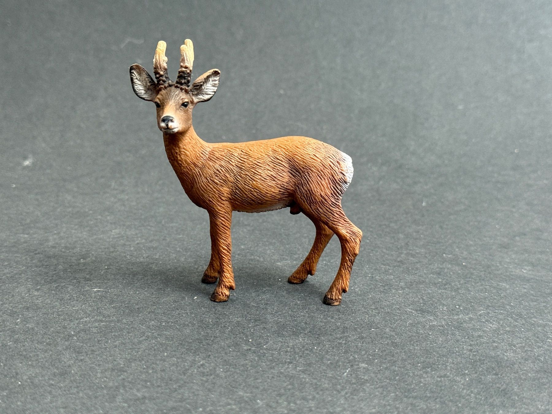 Schleich Statuette: Schleich Rehbock, Reh, Rehkitz Kitz Wald – Usato da Ennetbaden venduto da mapa05 2