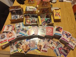 ⭐One Piece OP17 Sammlung. +6 Display Inhalt. c-SR-AltArt ⭐