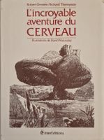 L'Incroyable Aventure Du Cerveau R Ornstein R Thompson Inter