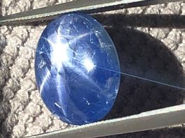 STERN SAPHIR Cabochon  (N) oval   8.14cts   Burma