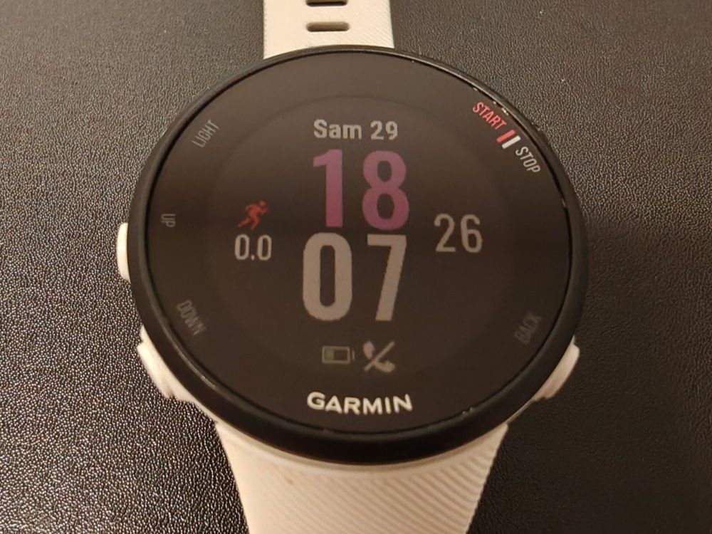 Garmin Forerunner 45S - Top Zustand, 20mal gebraucht! (Gebraucht) in ...