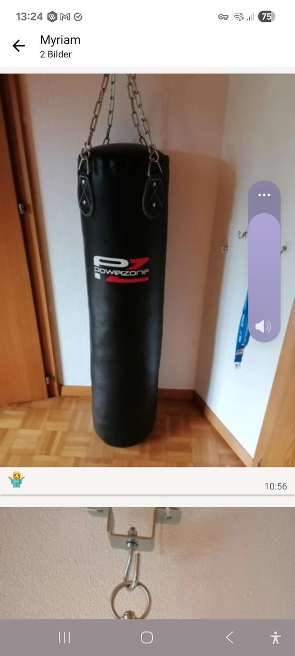 Powerzone Boxsäcke: Boxsack mit Aufhängung – Gebraucht aus Charmey (Gruyère) von Balinea