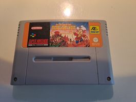 An American Tail Fievel Goes West Super Nintendo SNES Spiel