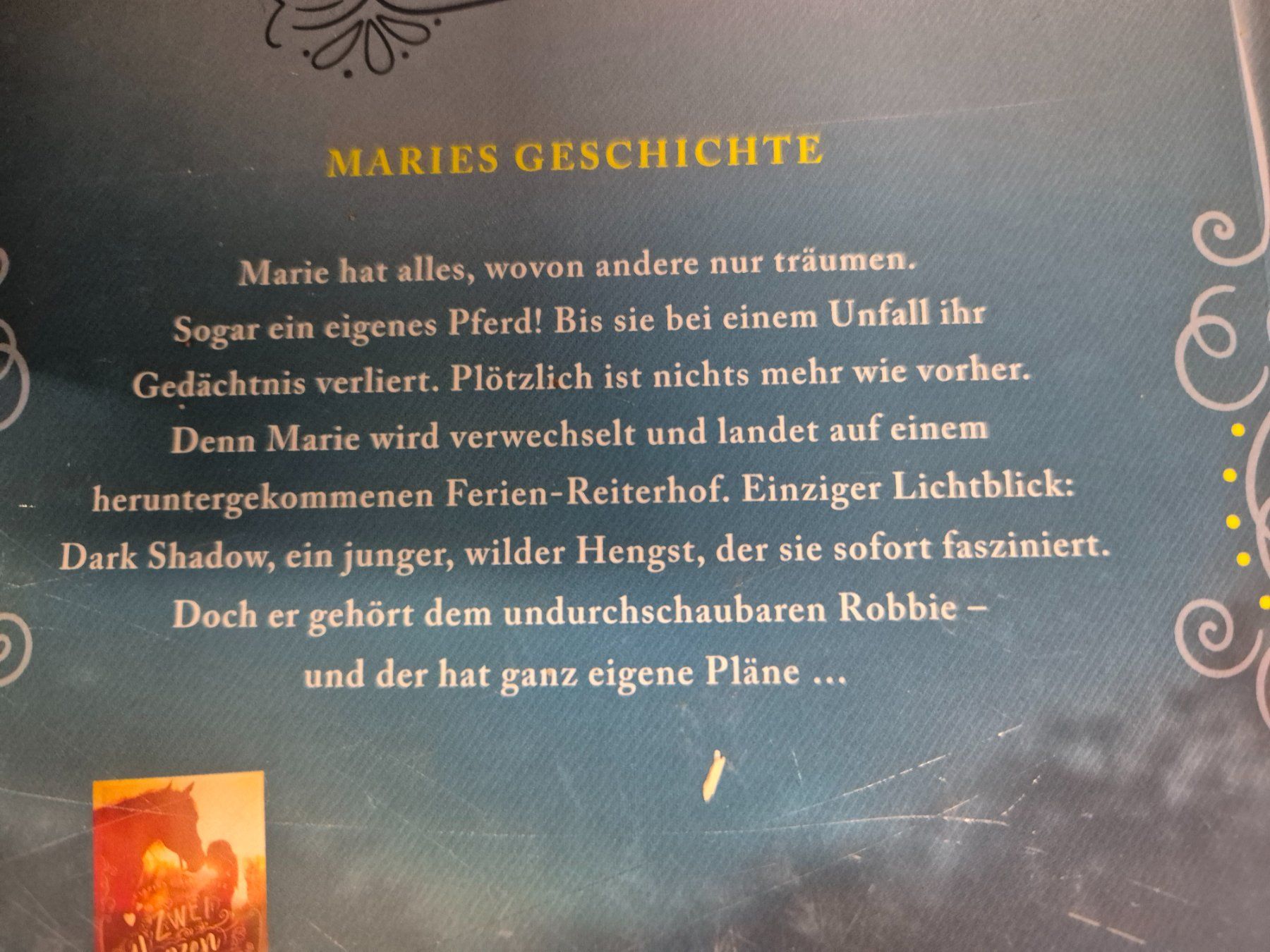 Libri: 4 Pferdebücher L20 – Usato da Schwarzenburg venduto da Flamingo07 1