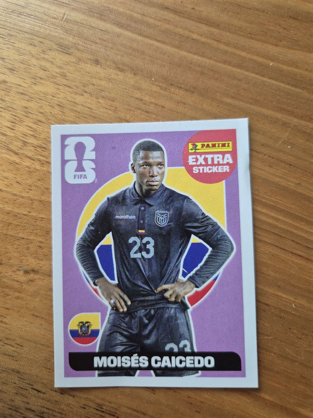 Panini Carte collezionabili: Moises Caicedo Extra Sticker Panini WM2026 – Nuovo (secondo la descrizione) da Wil SG venduto da Lukas18B10