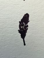 Gummistempel Feder – Natur / Boho / Karten