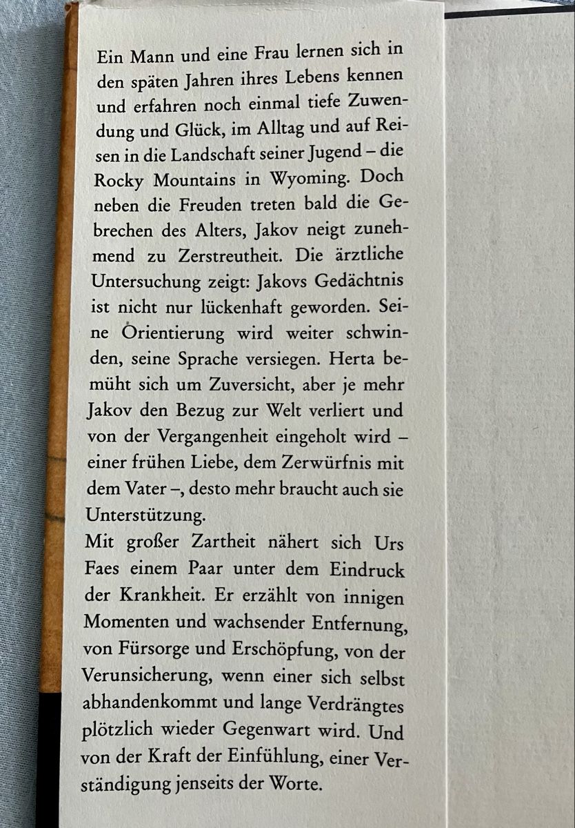 Libri: Urs Faes: Untertags – Usato da Buchs AG venduto da Allerleis 2