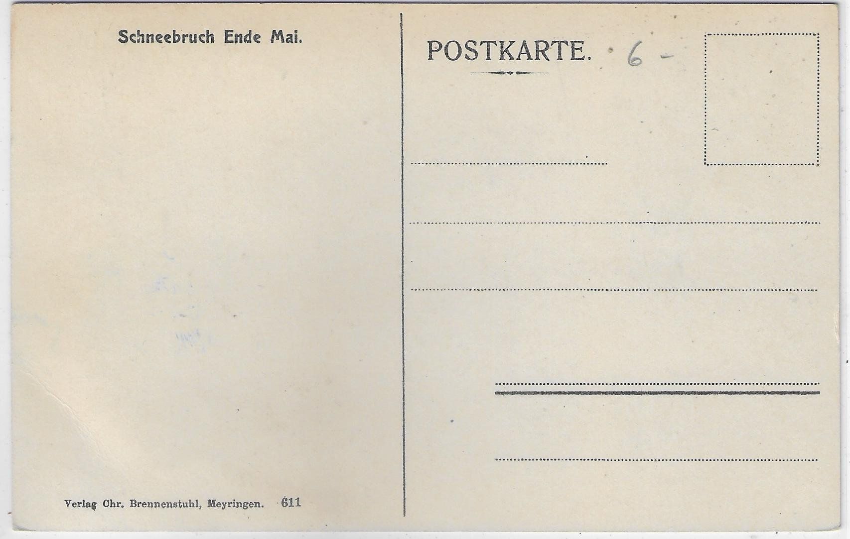 Cartes postales: Schneebruch Ende Mai - Litho – D'occasion à Ettingen par Kartenplanet 1