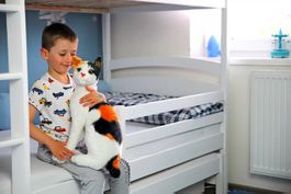 Plüsch  Katze