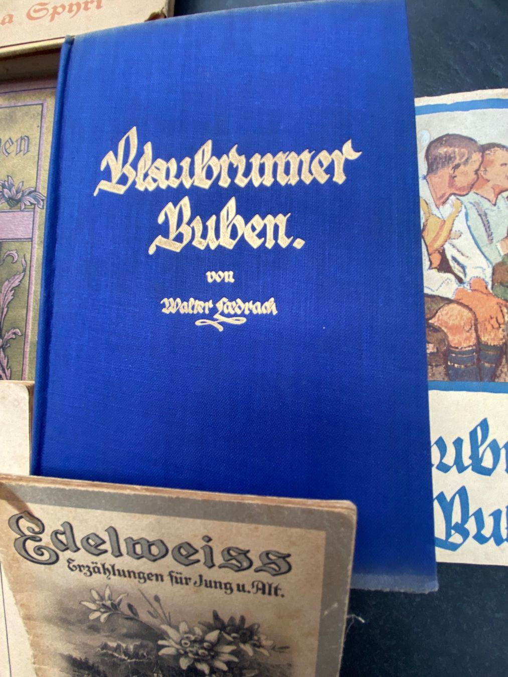 Libri: Lot antike Bücher – Usato da Rüti ZH venduto da Diana7770 2