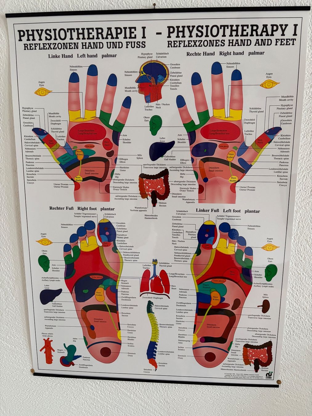 Poster & Bilder: Fuss- u. Handreflex Poster – Gebraucht aus Schmerikon von WaimeaBeach