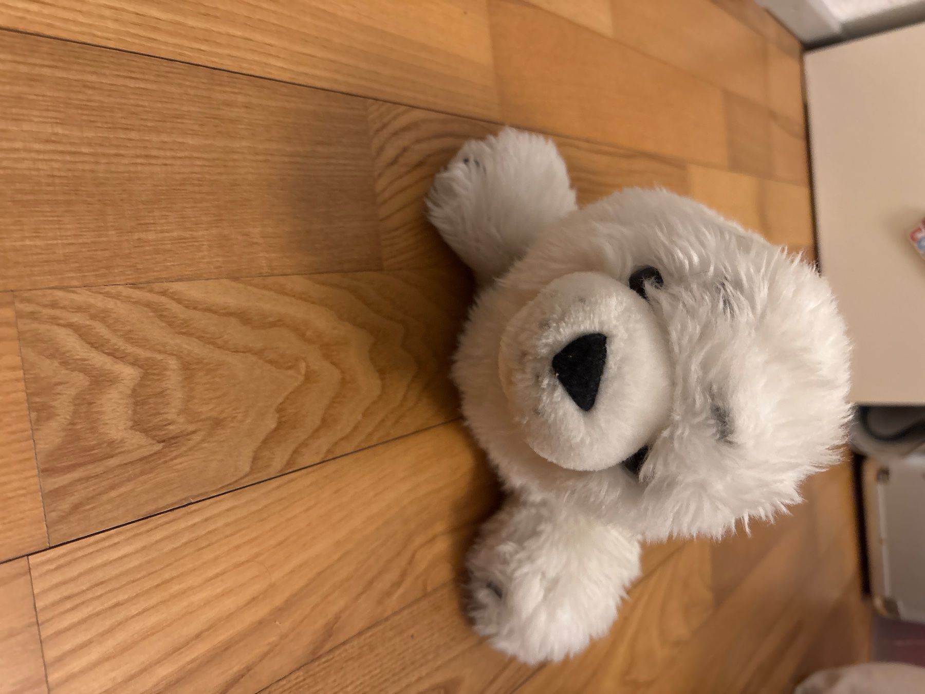 Jouets: Robbe-Kuscheltier – D'occasion à Winterthur par eve_24