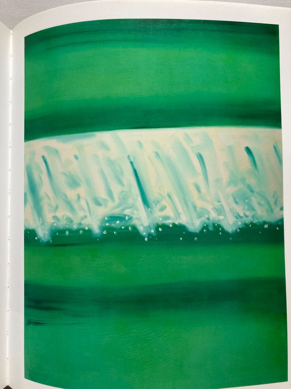 Libri: Alex Katz: Landscapes – Usato da Zürich venduto da Aisthesis 2