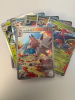 Pokemon Bundle, Verschiedene Karten