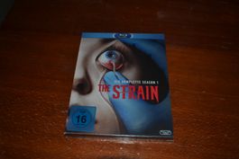 the Strain 1 Season (NEU)