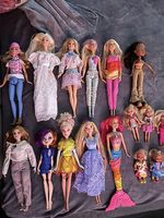 Grosses Barbies Set inkl 2 Pferde und viel Zubehör