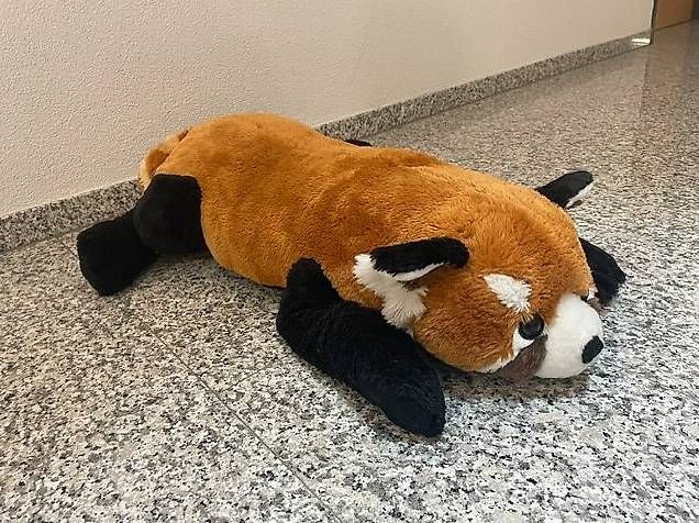 Giocattoli: Grosser "Roter Panda" – Usato da Zug venduto da Sotto2025