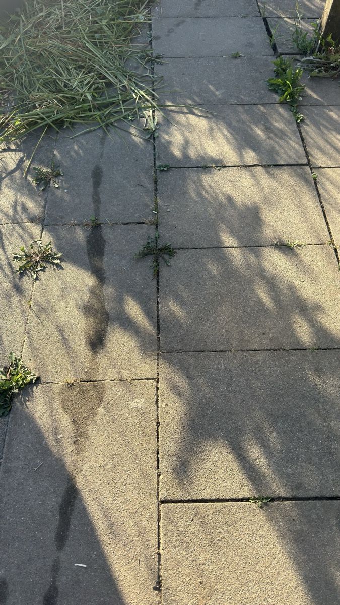 Rivestimenti per pavimenti: Gartenplatten Beton gebraucht 100 Stück, auch weniger mögli – Usato da Luzern venduto da Pepee02