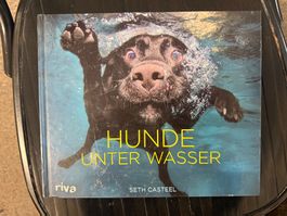 Hunde unter Wasser