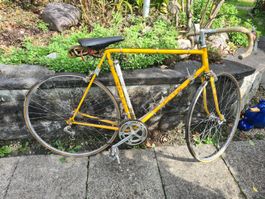 Retro Rennvelo Cilo - Blickfang für Vintage-Liebhaber!