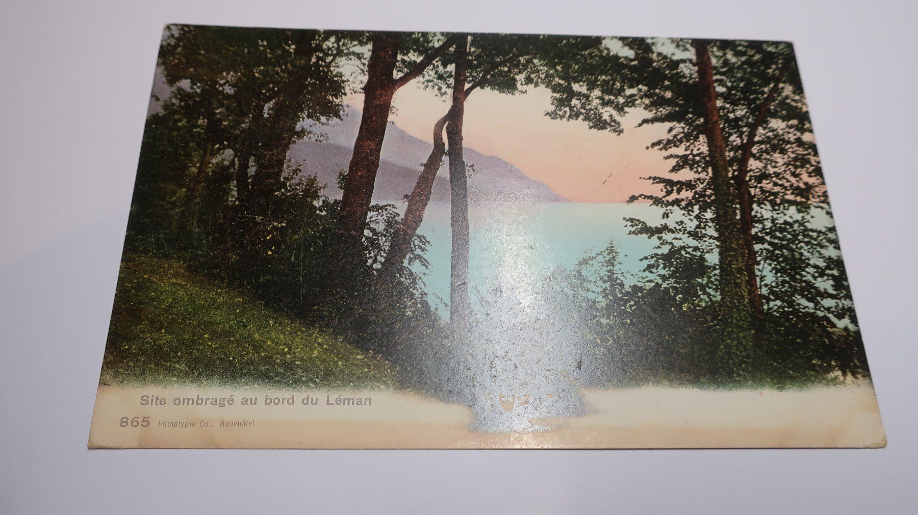Cartoline postali: Site ombragé au bord du Léman  1908 – Usato da Cormoret venduto da Pascalll2001 1